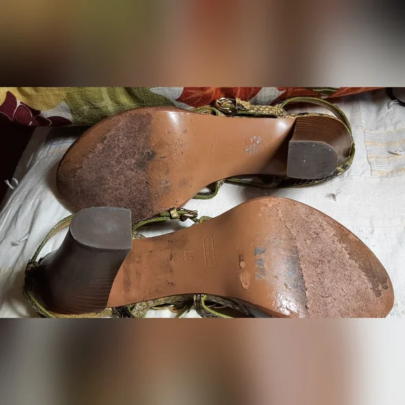 COACH | Green-ish Snake Skin Gold Ankle Strap Heels - Picture 16 of 16